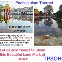 Pachaikulam Therpet Lake Cleaning Programme